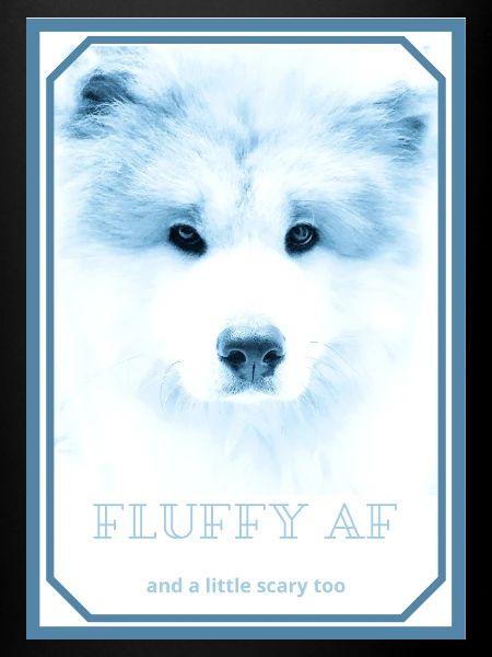 FLUFFY AF 1