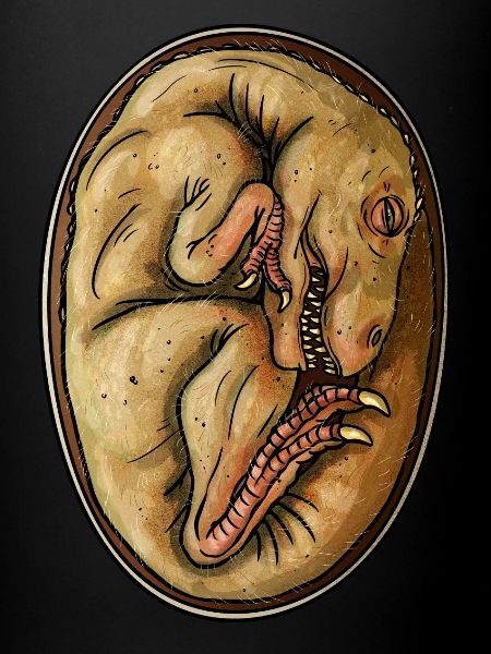 Dino Egg