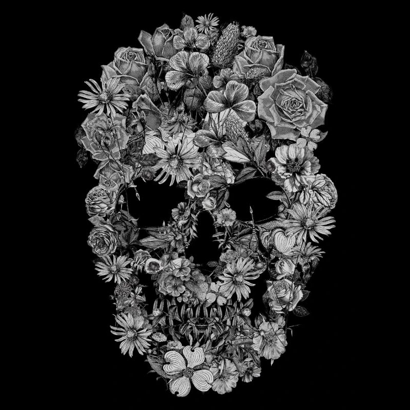 Crâne de fleur