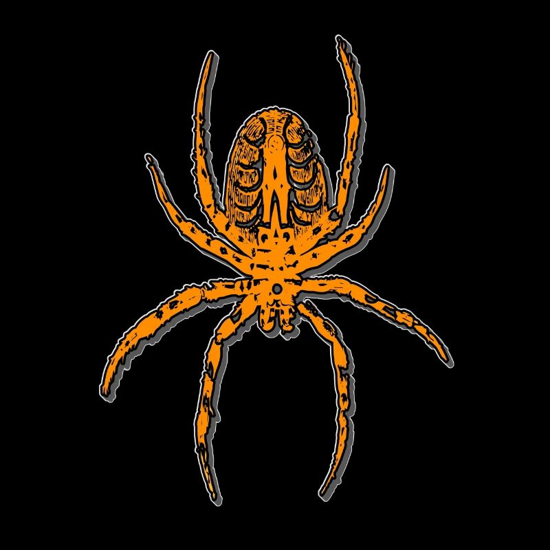 Spider crawling, arachnophobia