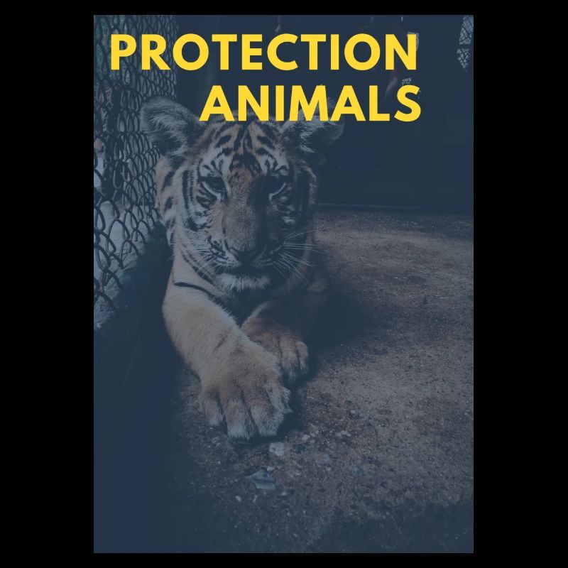 Protection des animaux