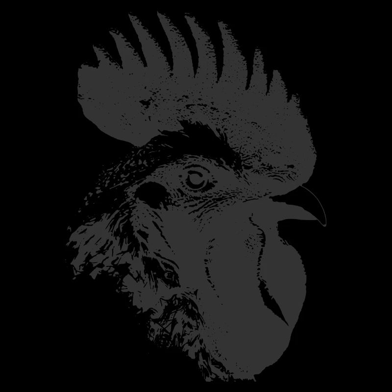 Rooster