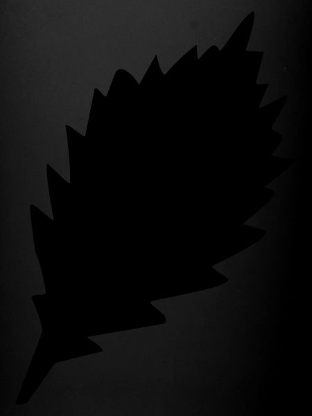 Leaf 22