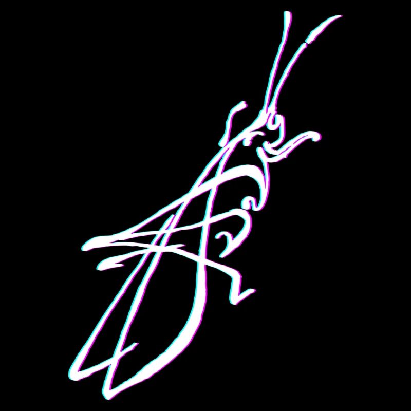 Heller Grashüpfer