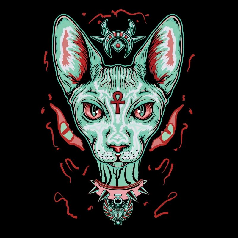 Chat Sphynx égyptien