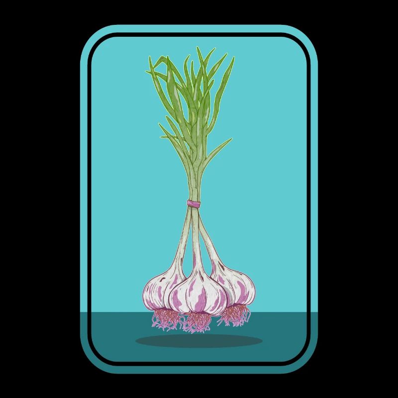 Bund Knoblauch