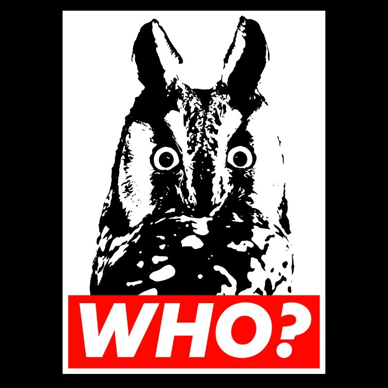 Who? Wer? Eule?