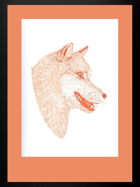 230815 Wolf 4