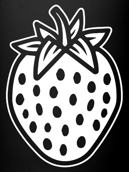 Fraise Fruit Fruit