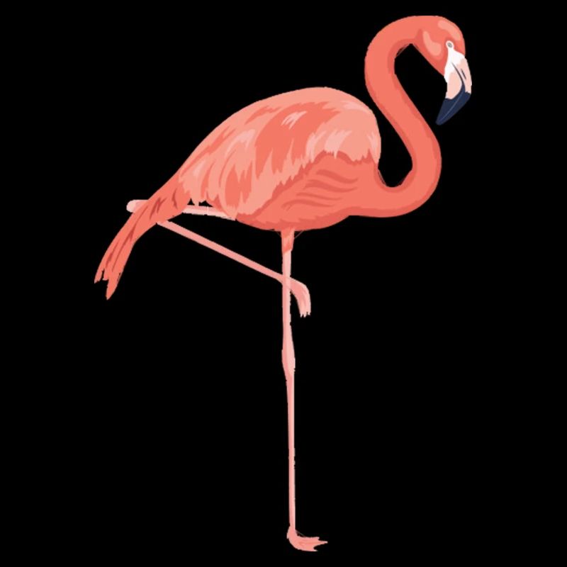 Rosa Flamingo