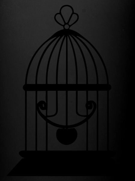 bird cage