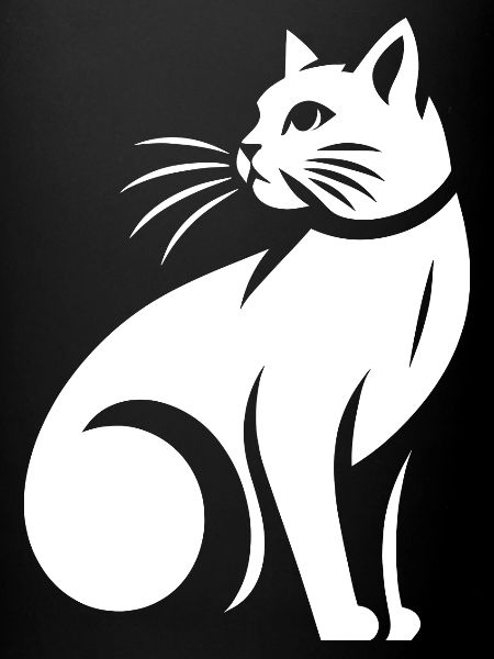 Chat blanc