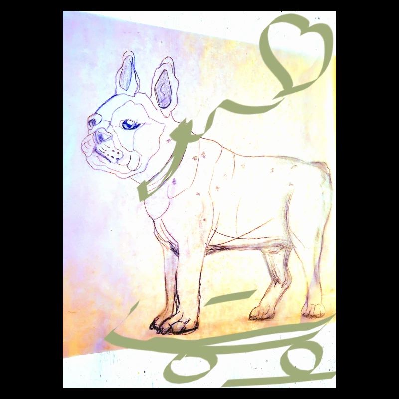 Bouledogue français