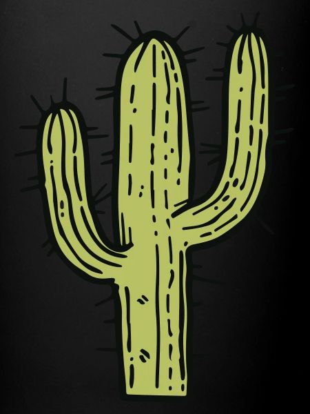 Cactus Illustration
