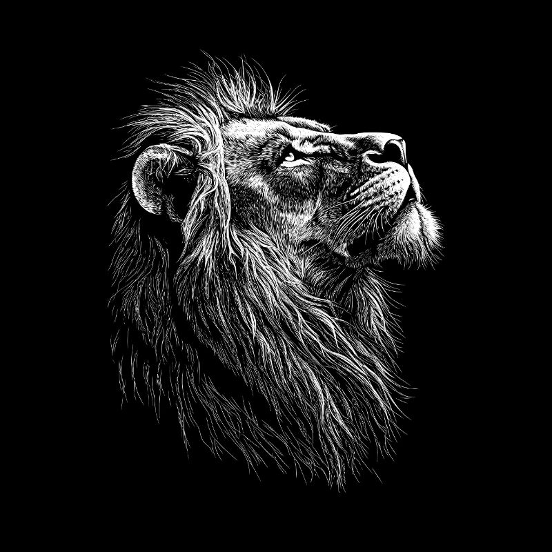 Löwe Kopf Portrait Illustration