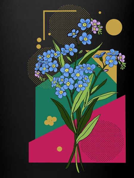 Myosotis