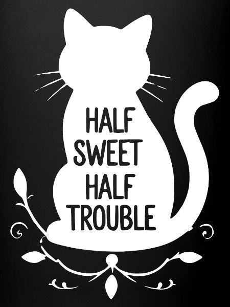 Chat blanc mi-doux mi-trouble