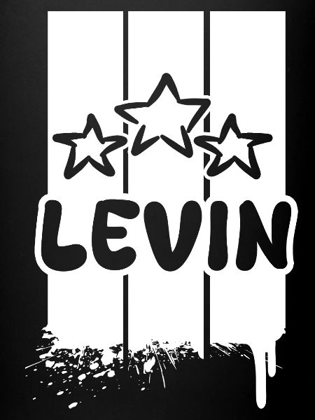 Levin Levin