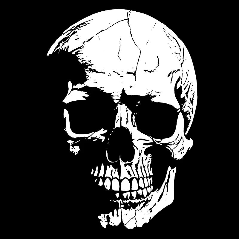 Skull High-Contrast Graphics