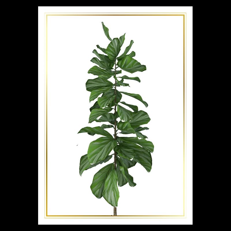 Plante verte dans un cadre doré