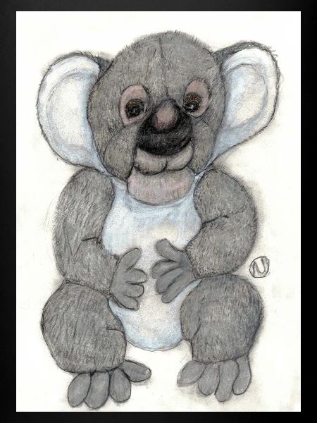 Koala