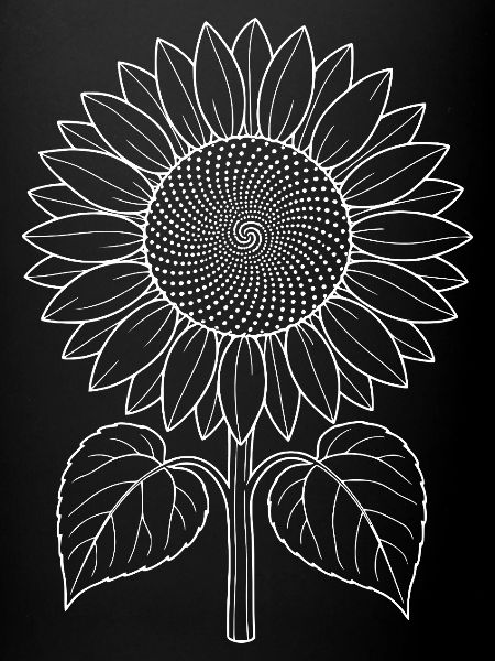 tournesol