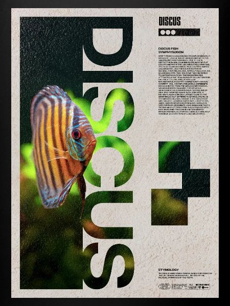 Diskusfischhalter-Porträtplakat