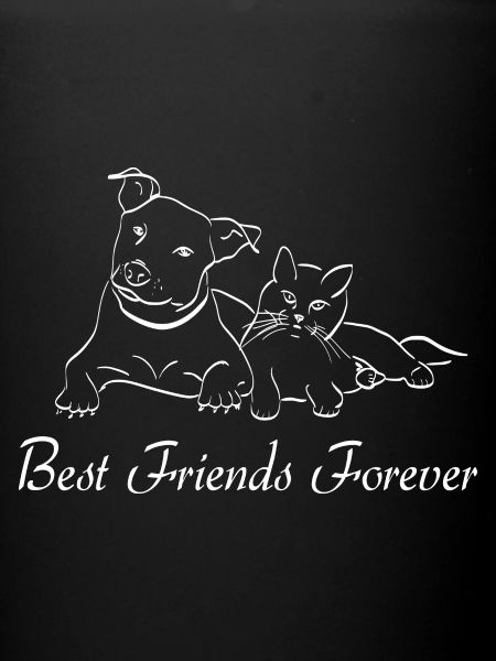Chien chat