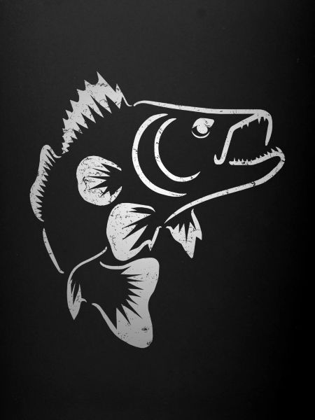 Pikeperch - pêche au sandre