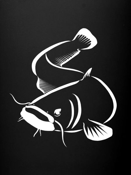 Silure - pêche silure