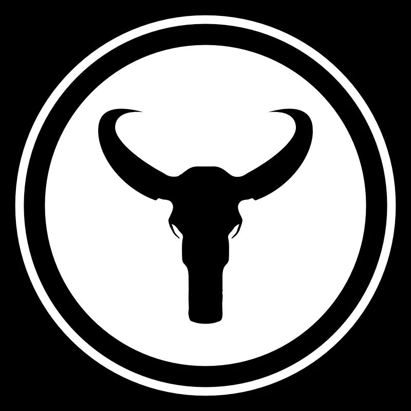 Squelette de taureau