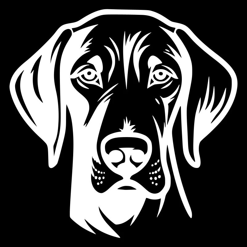 Weimaraner
