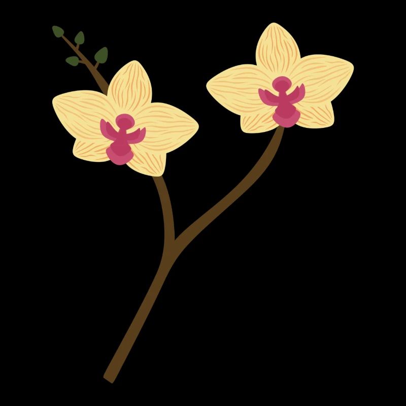 Gelbe Orchidee