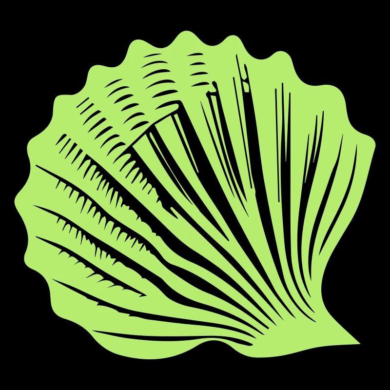 shell