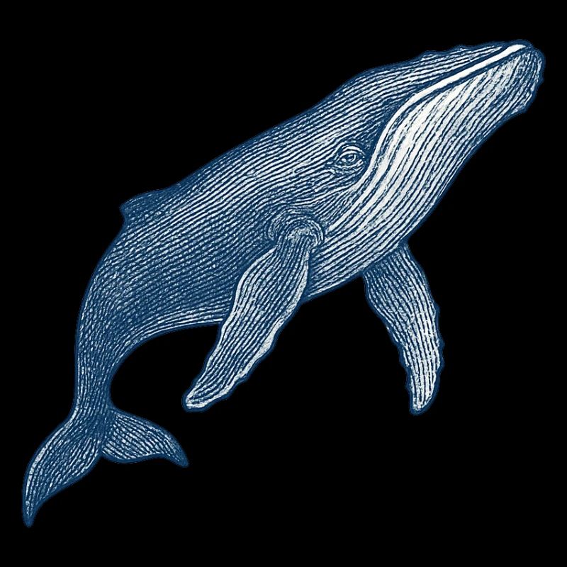 Stilisierte Blauwal-Illustration
