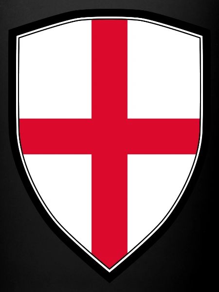 ANGLE FLAG SHIELD