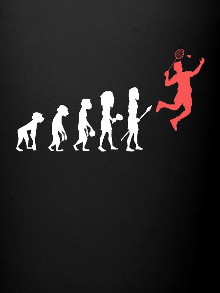 Badminton Evolution Entwicklung