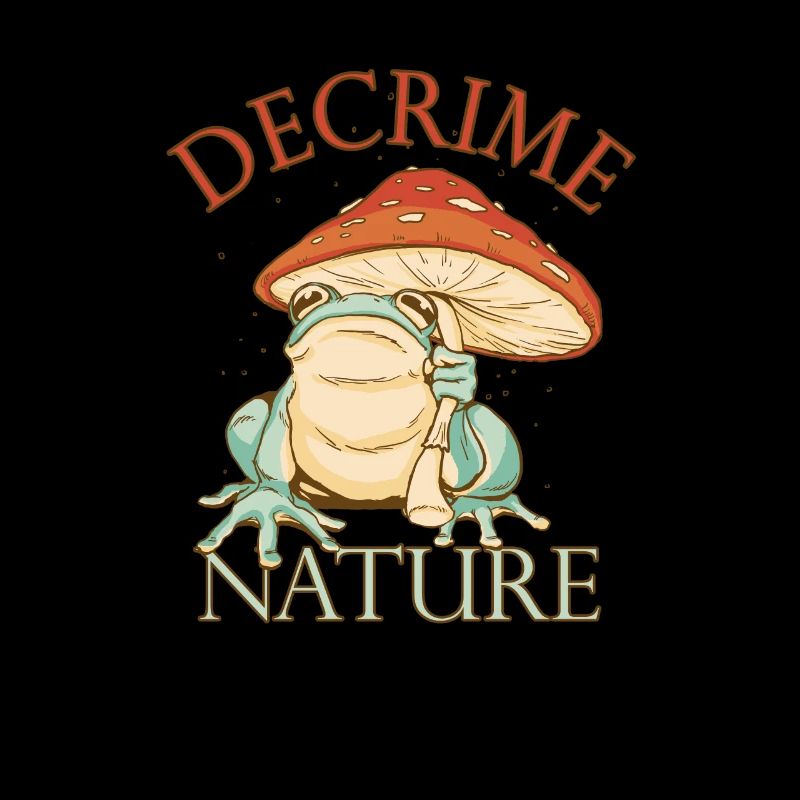 Decrime Nature Colorful Magic Mushroom Frog