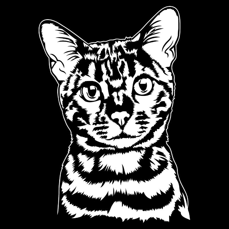 Bengal Bengal Cat Portrait Pedigree Cat Wilsigns