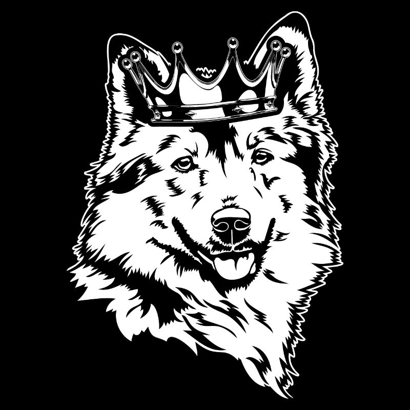 Islandhund Krone Hunde Hund Wilsigns