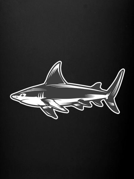 Requin requin