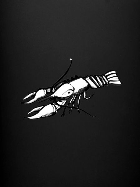A lobster (hand-drawn)
