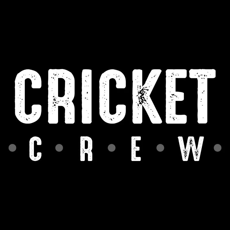 Équipe de cricket