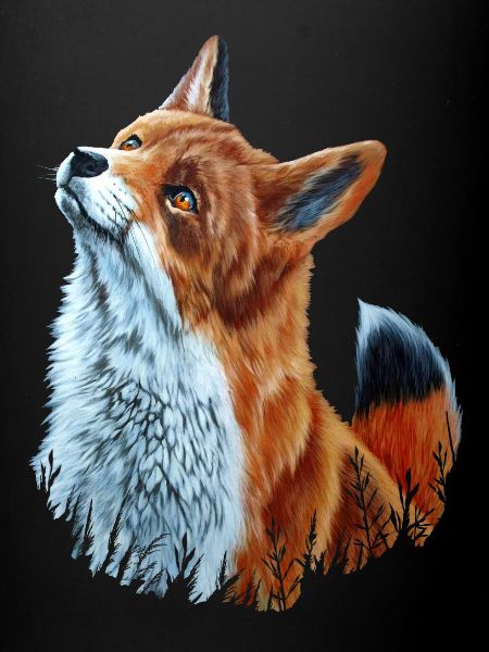 Fuchs