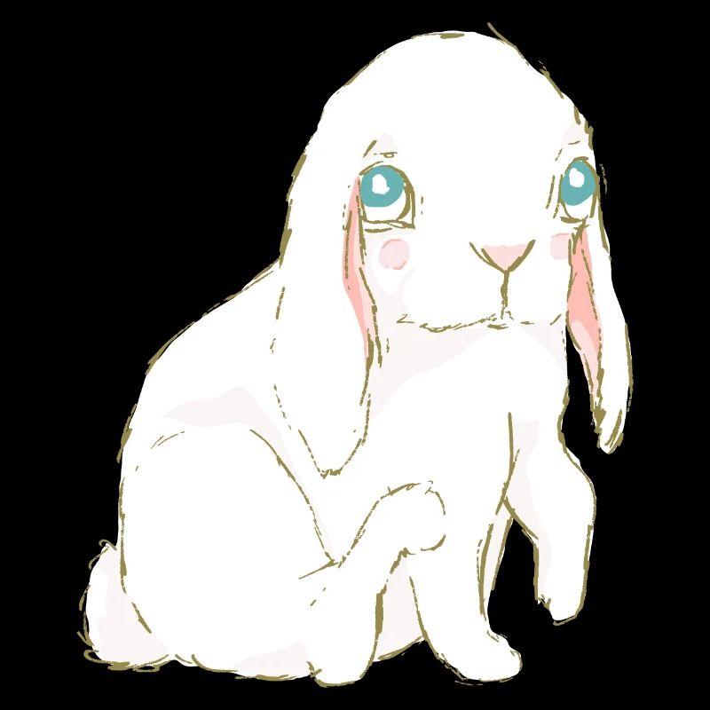 Lapin Lapin