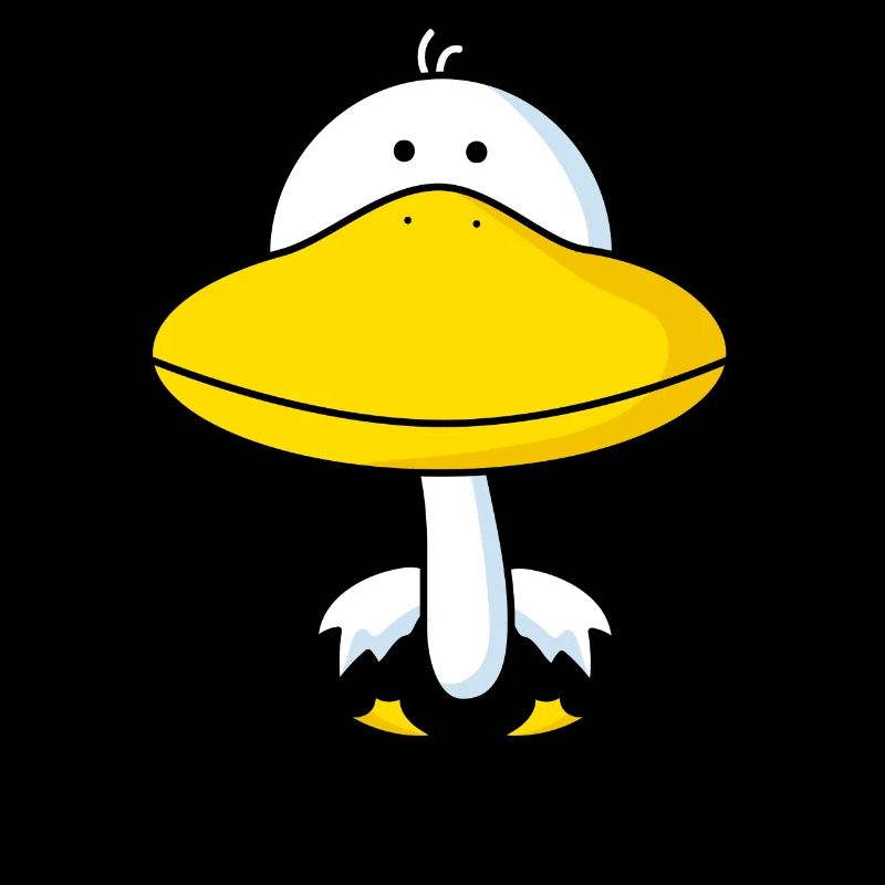 Canard drôle