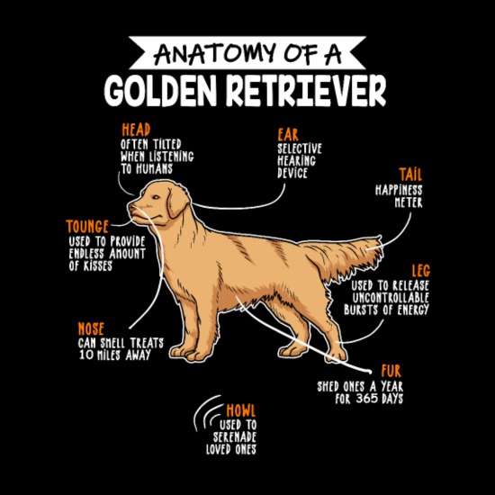 Anatomy Of A Golden Retriever Funny Dog Owner Gift' Mug | Spreadshirt