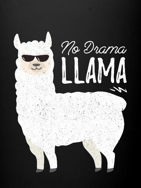 Aucun drame lama
