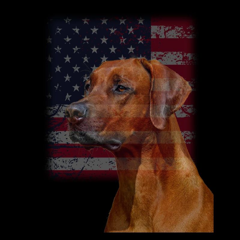Rhodesian Ridgeback
