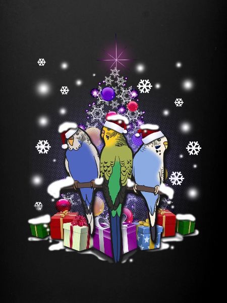 Perruche Noël
